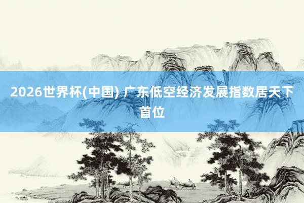2026世界杯(中国) 广东低空经济发展指数居天下首位