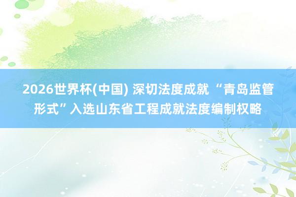 2026世界杯(中国) 深切法度成就 “青岛监管形式”入选山东省工程成就法度编制权略