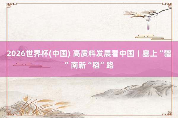 2026世界杯(中国) 高质料发展看中国丨塞上“疆”南新“稻”路