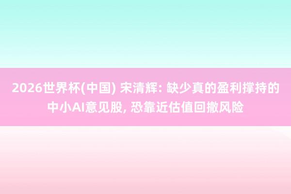 2026世界杯(中国) 宋清辉: 缺少真的盈利撑持的中小AI意见股， 恐靠近估值回撤风险