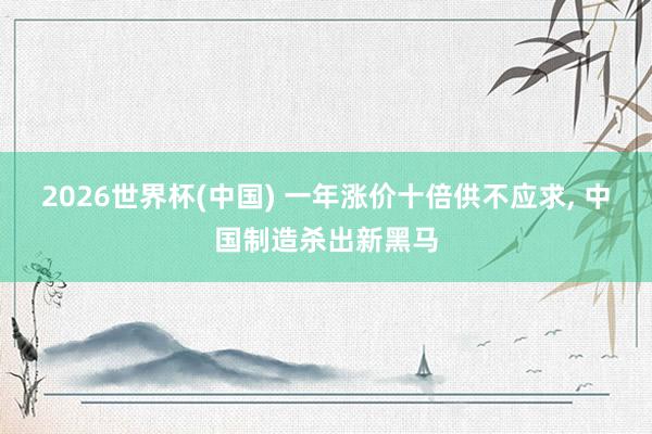 2026世界杯(中国) 一年涨价十倍供不应求， 中国制造杀出新黑马