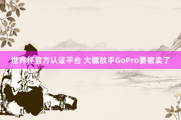 世界杯官方认证平台 大疆敌手GoPro要被卖了