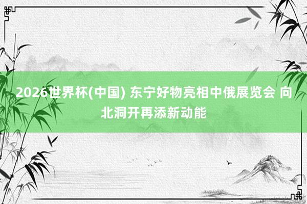 2026世界杯(中国) 东宁好物亮相中俄展览会 向北洞开再添新动能