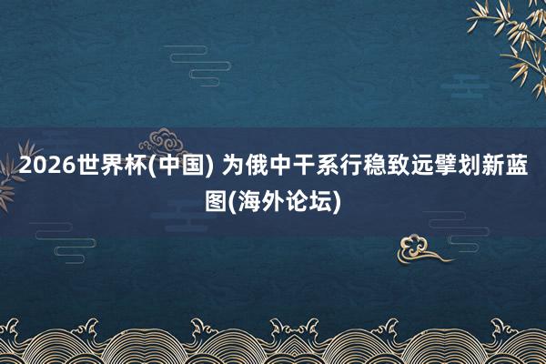 2026世界杯(中国) 为俄中干系行稳致远擘划新蓝图(海外论坛)