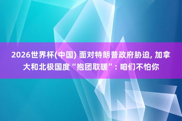 2026世界杯(中国) 面对特朗普政府胁迫， 加拿大和北极国度“抱团取暖”: 咱们不怕你