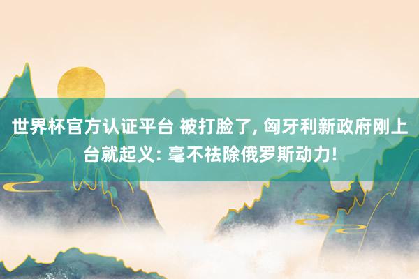 世界杯官方认证平台 被打脸了， 匈牙利新政府刚上台就起义: 毫不祛除俄罗斯动力!