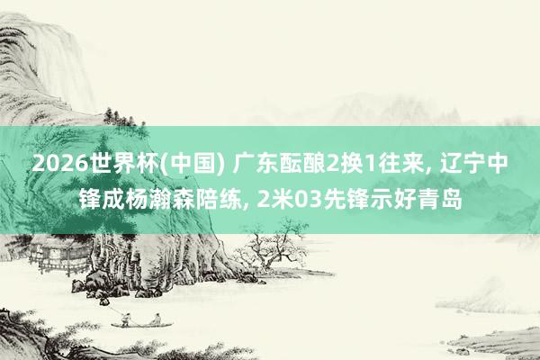 2026世界杯(中国) 广东酝酿2换1往来， 辽宁中锋成杨瀚森陪练， 2米03先锋示好青岛