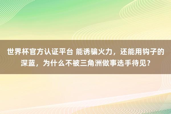 世界杯官方认证平台 能诱骗火力，还能用钩子的深蓝，为什么不被三角洲做事选手待见？