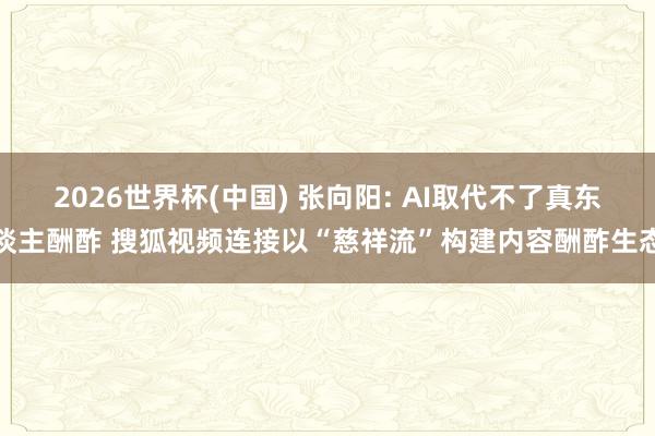 2026世界杯(中国) 张向阳: AI取代不了真东谈主酬酢 搜狐视频连接以“慈祥流”构建内容酬酢生态