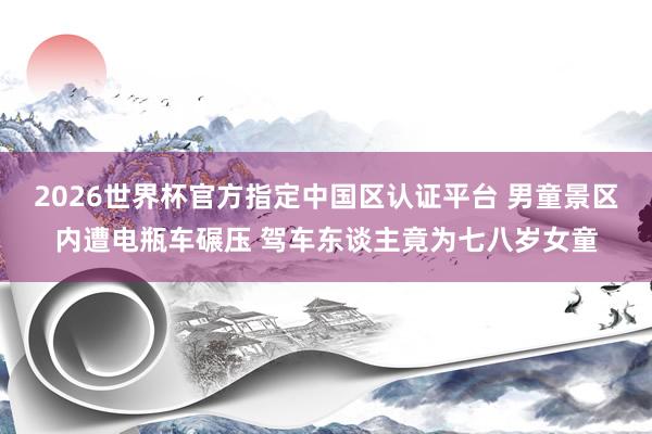 2026世界杯官方指定中国区认证平台 男童景区内遭电瓶车碾压 驾车东谈主竟为七八岁女童