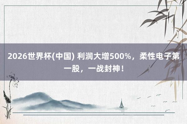 2026世界杯(中国) 利润大增500%，柔性电子第一股，一战封神！