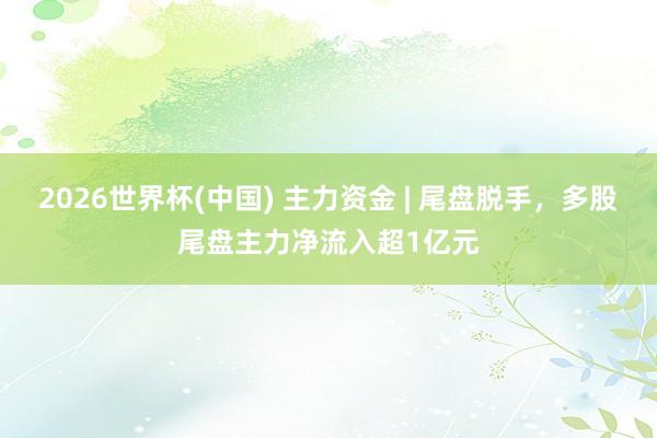 2026世界杯(中国) 主力资金 | 尾盘脱手，多股尾盘主力净流入超1亿元