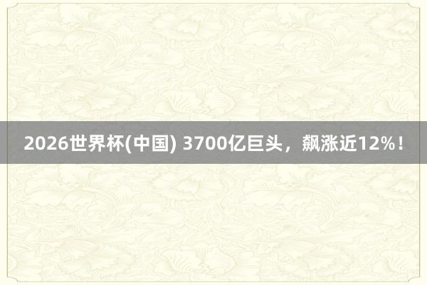 2026世界杯(中国) 3700亿巨头，飙涨近12%！