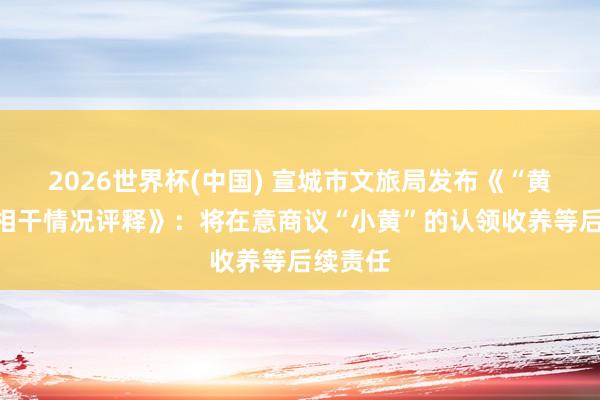 2026世界杯(中国) 宣城市文旅局发布《“黄站长”相干情况评释》：将在意商议“小黄”的认领收养等后续责任