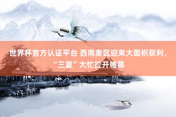 世界杯官方认证平台 西南麦区迎来大面积获利，“三夏”大忙拉开帷幕