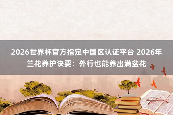 2026世界杯官方指定中国区认证平台 2026年兰花养护诀要：外行也能养出满盆花