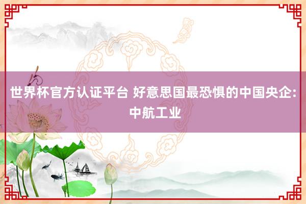 世界杯官方认证平台 好意思国最恐惧的中国央企: 中航工业