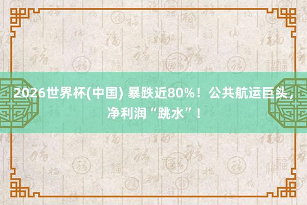 2026世界杯(中国) 暴跌近80%！公共航运巨头，净利润“跳水”！