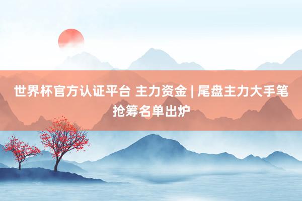 世界杯官方认证平台 主力资金 | 尾盘主力大手笔抢筹名单出炉
