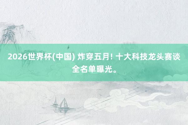 2026世界杯(中国) 炸穿五月! 十大科技龙头赛谈全名单曝光。