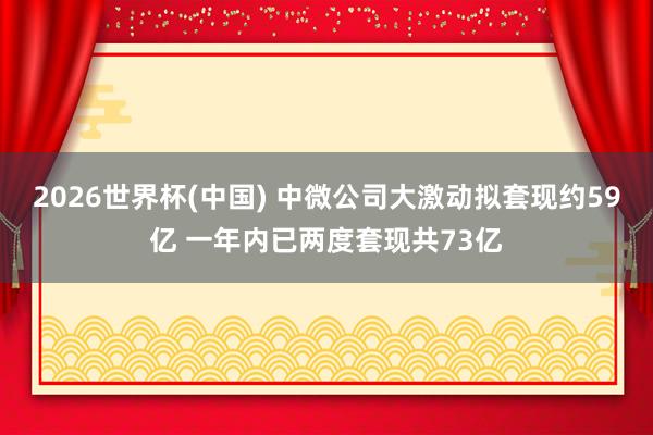 2026世界杯(中国) 中微公司大激动拟套现约59亿 一年内已两度套现共73亿
