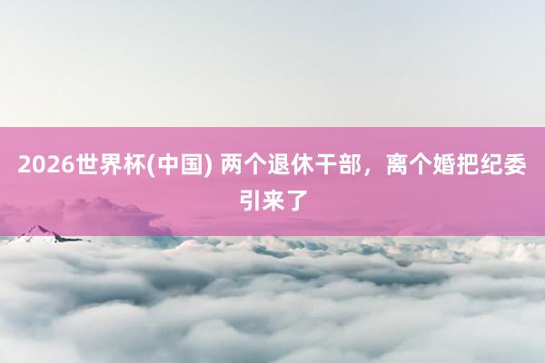 2026世界杯(中国) 两个退休干部，离个婚把纪委引来了