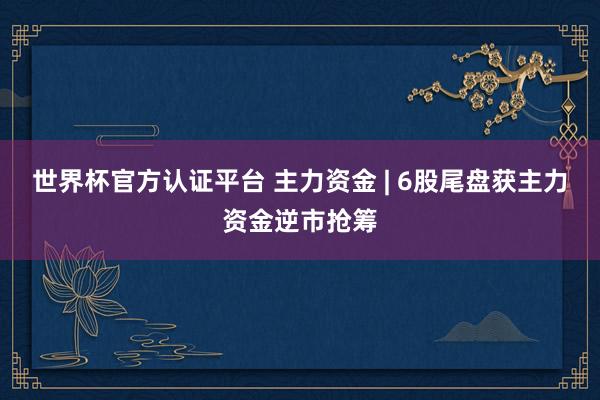 世界杯官方认证平台 主力资金 | 6股尾盘获主力资金逆市抢筹