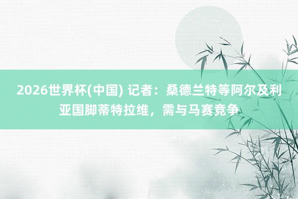 2026世界杯(中国) 记者：桑德兰特等阿尔及利亚国脚蒂特拉维，需与马赛竞争
