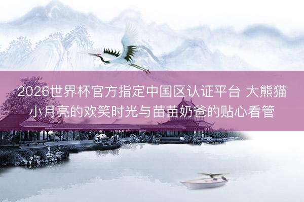 2026世界杯官方指定中国区认证平台 大熊猫小月亮的欢笑时光与苗苗奶爸的贴心看管