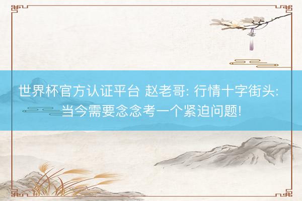 世界杯官方认证平台 赵老哥: 行情十字街头: 当今需要念念考一个紧迫问题!