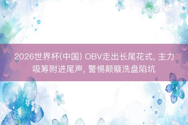 2026世界杯(中国) OBV走出长尾花式, 主力吸筹附进尾声, 警惕颠簸洗盘陷坑