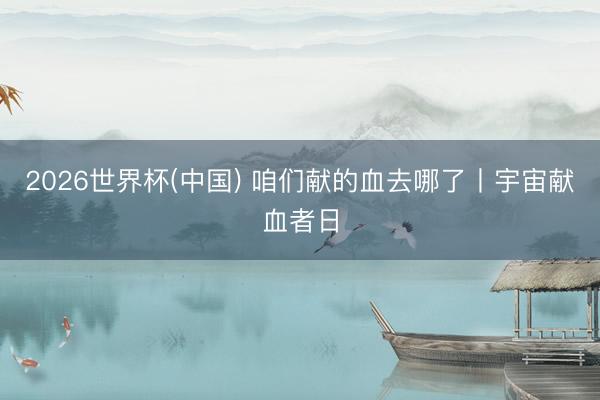 2026世界杯(中国) 咱们献的血去哪了丨宇宙献血者日