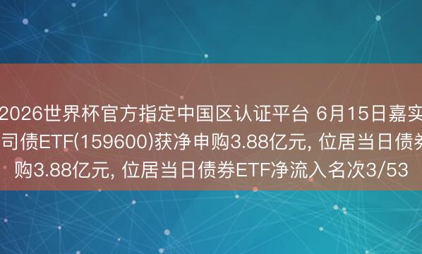2026世界杯官方指定中国区认证平台 6月15日嘉实中证AAA科技转换公司债ETF(159600)获净申购3.88亿元, 位居当日债券ETF净流入名次3/53