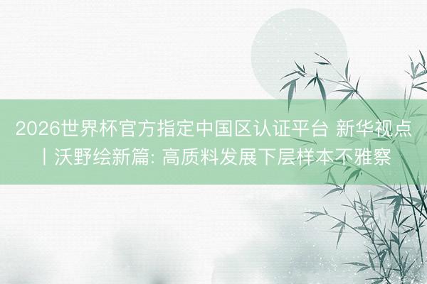 2026世界杯官方指定中国区认证平台 新华视点丨沃野绘新篇: 高质料发展下层样本不雅察